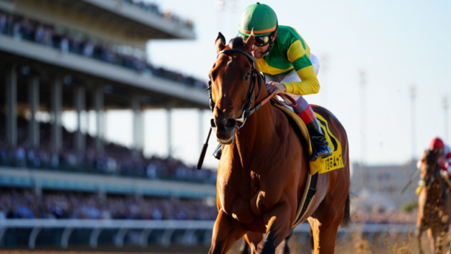 7c3c810a90a3f8b029ef7e85ba6f066a