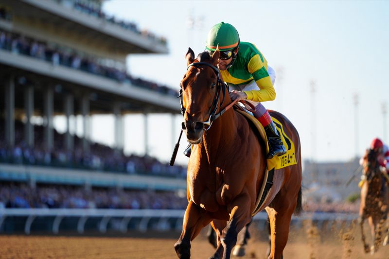 7c3c810a90a3f8b029ef7e85ba6f066a